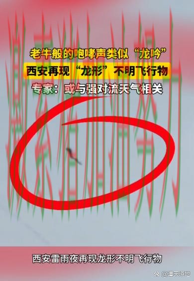 猛龙赛后发声走势反转 猛龙赛后发声走势反转