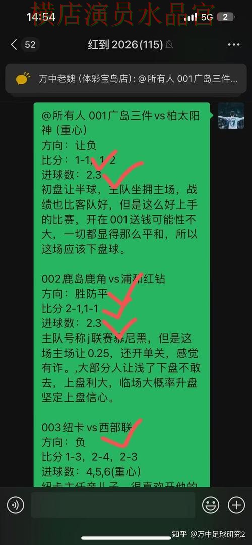 世界杯买球app胜平负玩法怎么研究全攻略